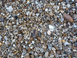 Galet de mer brut