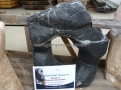 Monolithe Troyas