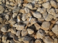quartz +60 naturel
