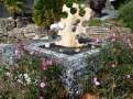 Parterre des rosiers
